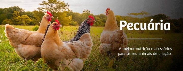 Utilize para  ver mais