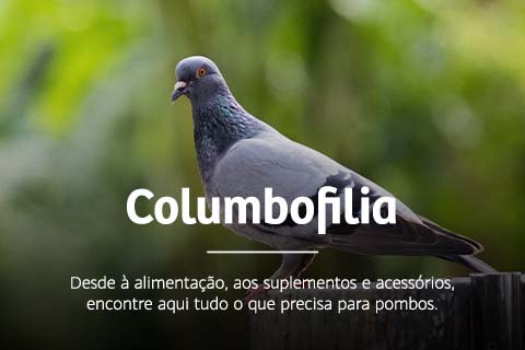 Utilize para  ver mais