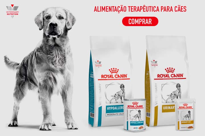 Utilize para  ver mais_1