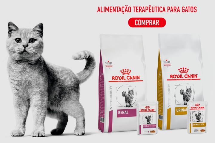 Utilize para  ver mais_1