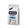 ADV DOG MINI LIGHT C & R ADV DOG MINI LIGHT C & R