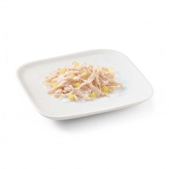 SCH FRANGO/ANANAS GATO - 75GR