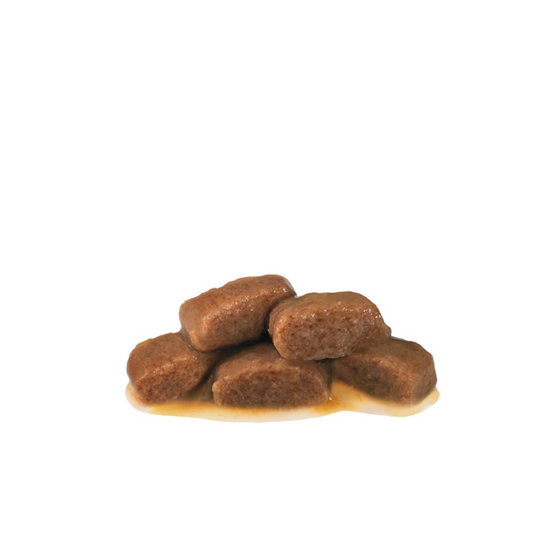 ROYAL CANIN CAT RENAL BEEF - 85GR