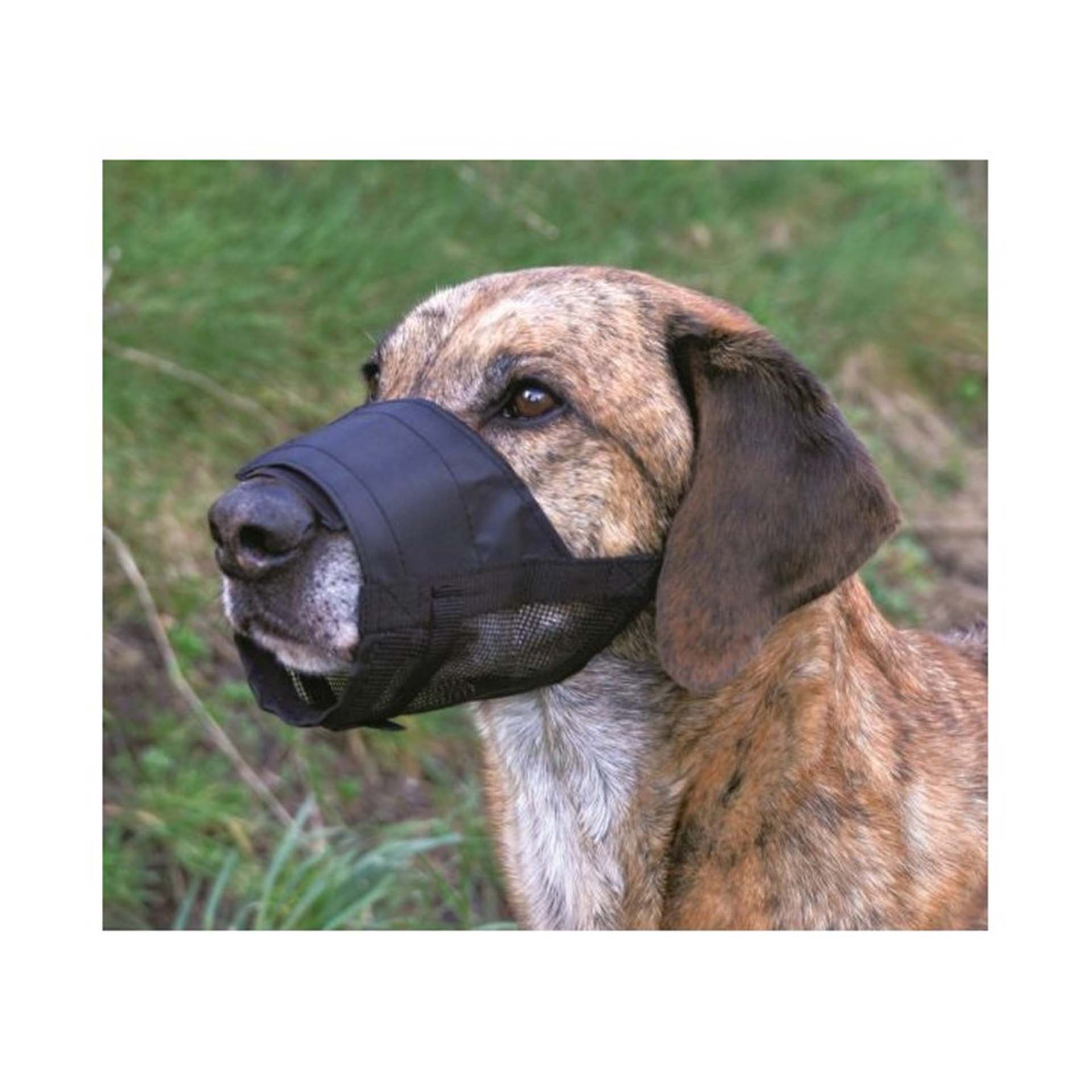 AÇAIME AJUSTÁVEL C/ REDE EM NYLON