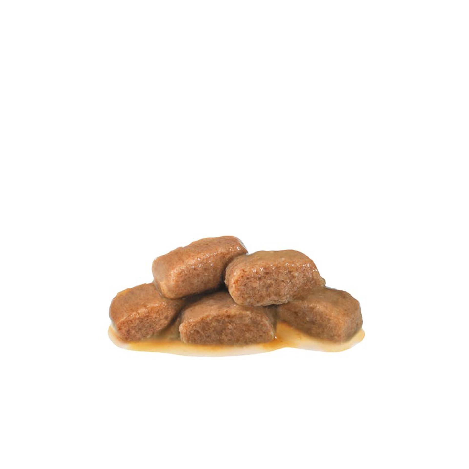 ROYAL CANIN CAT RENAL FISH - 85GR