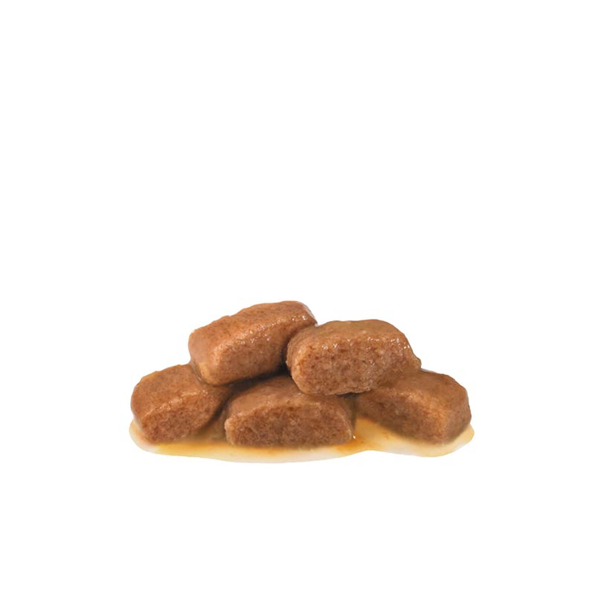 ROYAL CANIN DOG URINARY S/O - 100GR