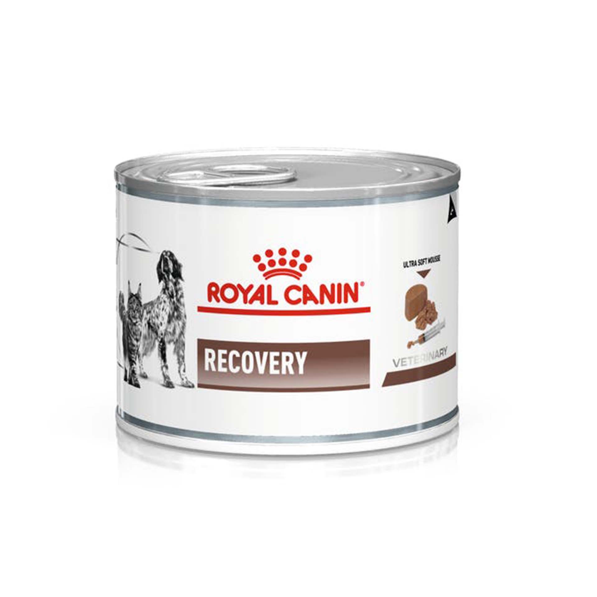 ROYAL CANIN DOG/CAT RECOVERY - 195GR