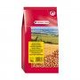 AMENDOIM S/CASCA - 3KG AMENDOIM S/CASCA - 3KG