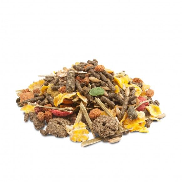 CRISPY MUESLI GUINEA PIGS