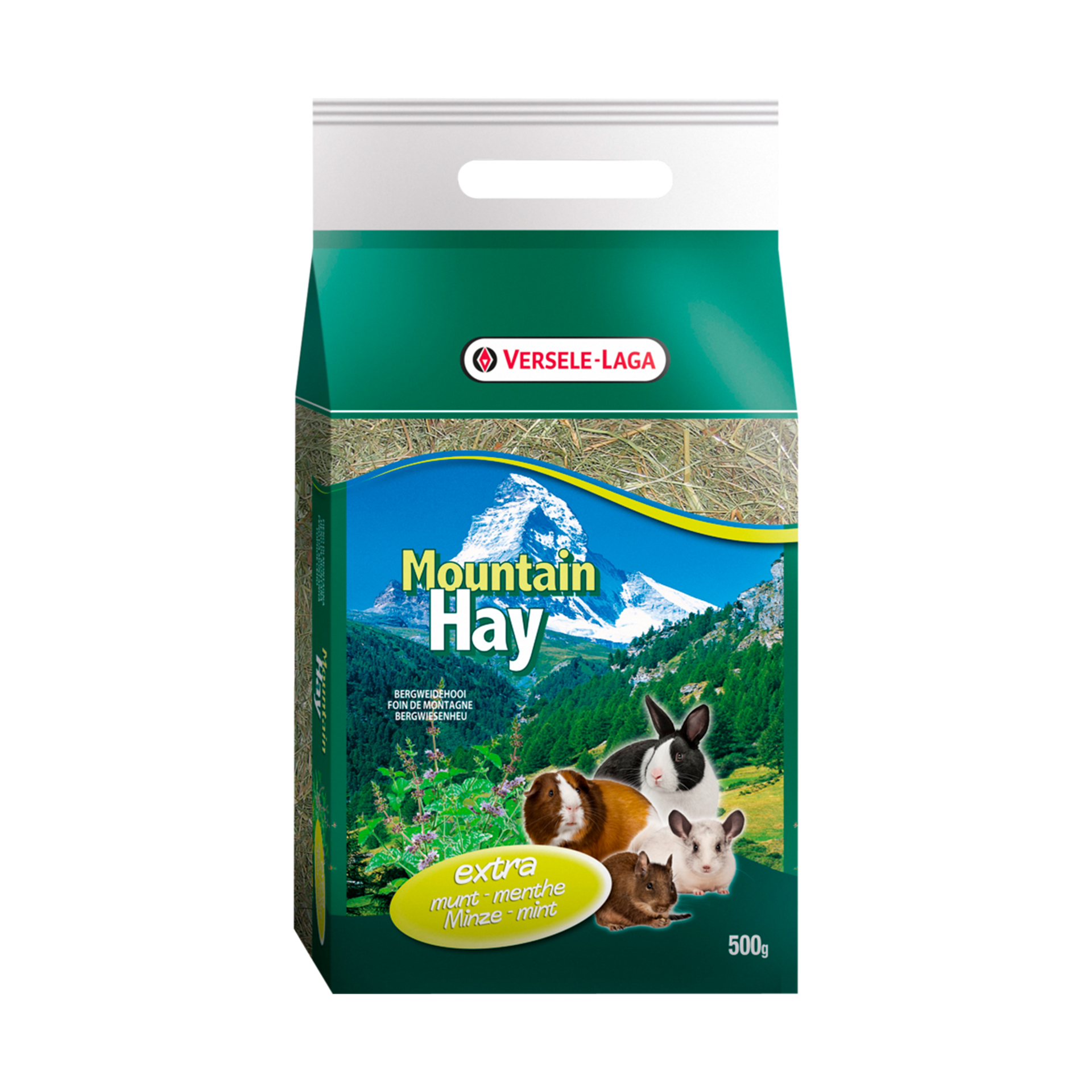 FENO DA MONTANHA MENTA - 500GR