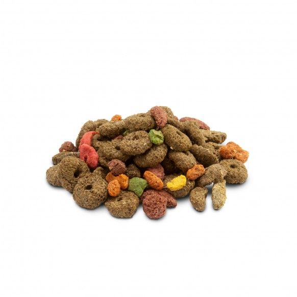CRISPY SNACK FIBRAS