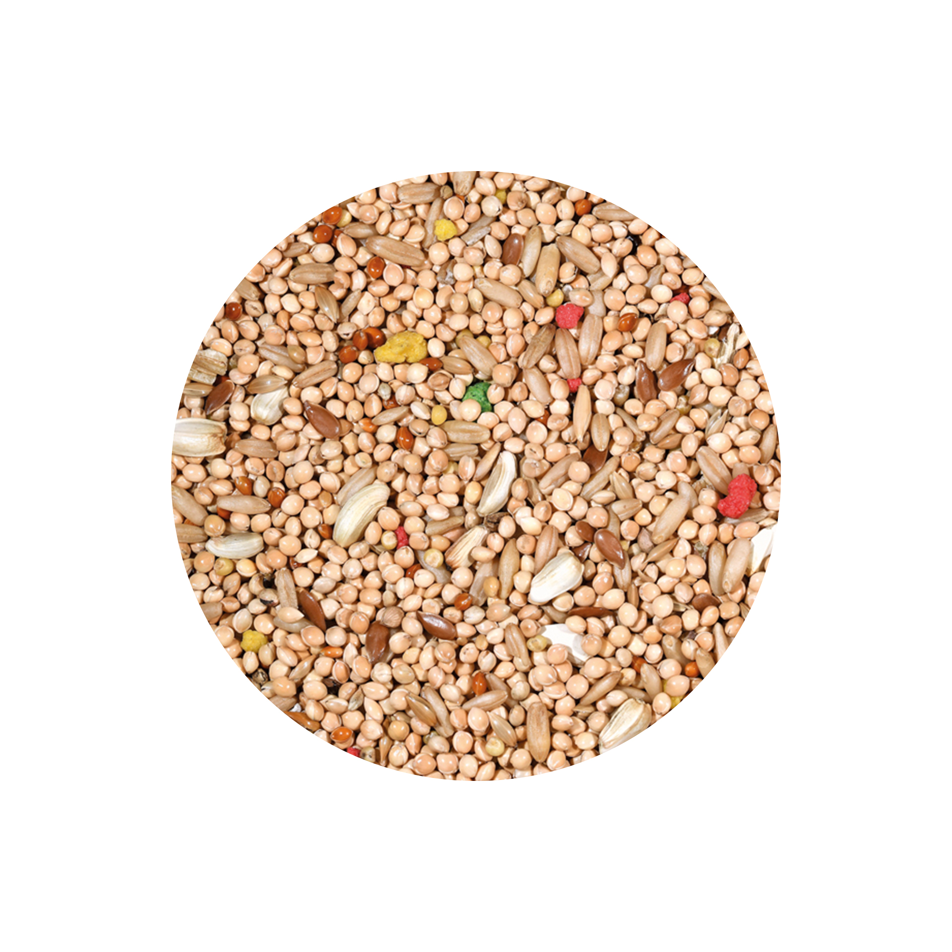 MISTURA P/ PERIQUITOS CLASSIC