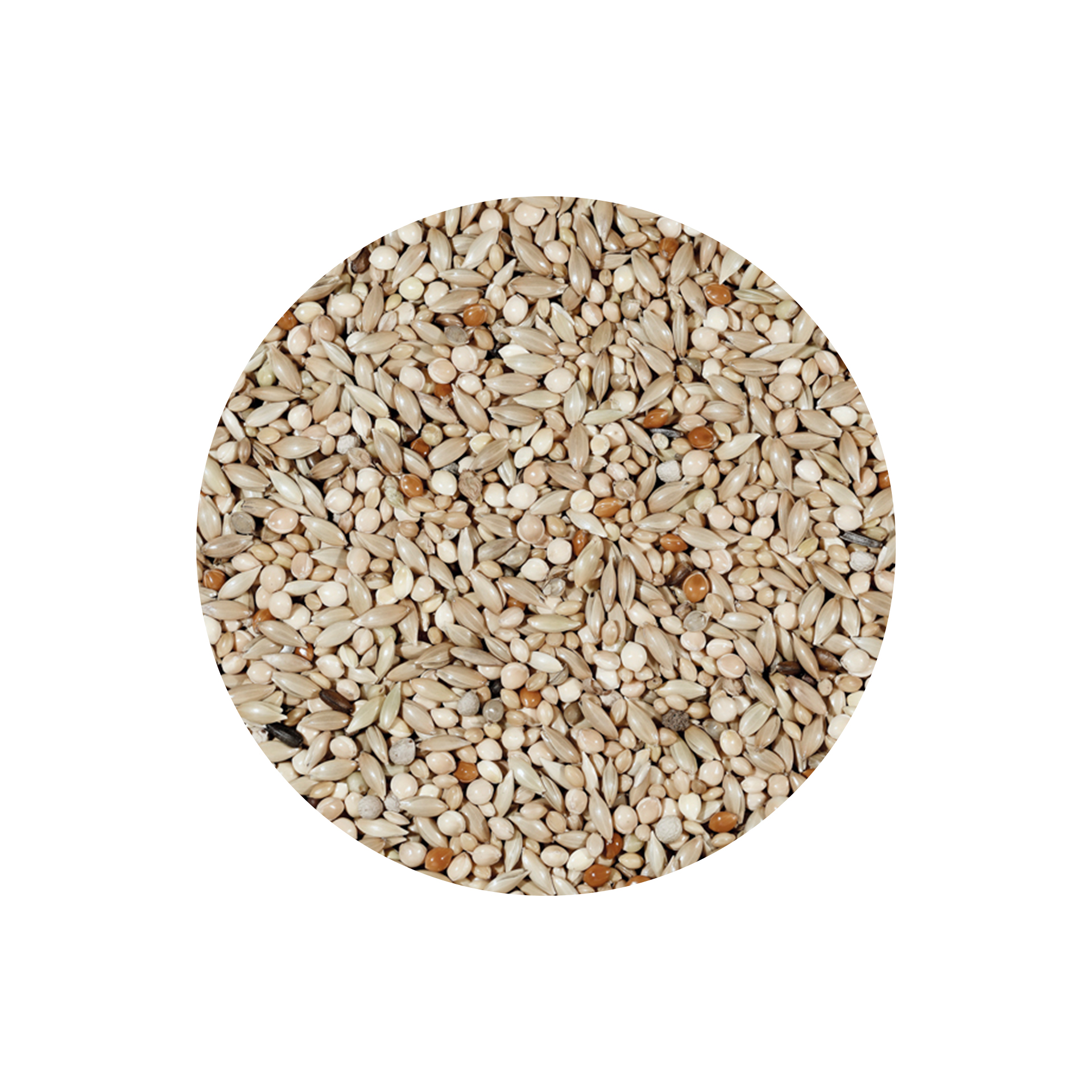 MISTURA P/ EXOTICOS PROFISSIONAL - 20KG