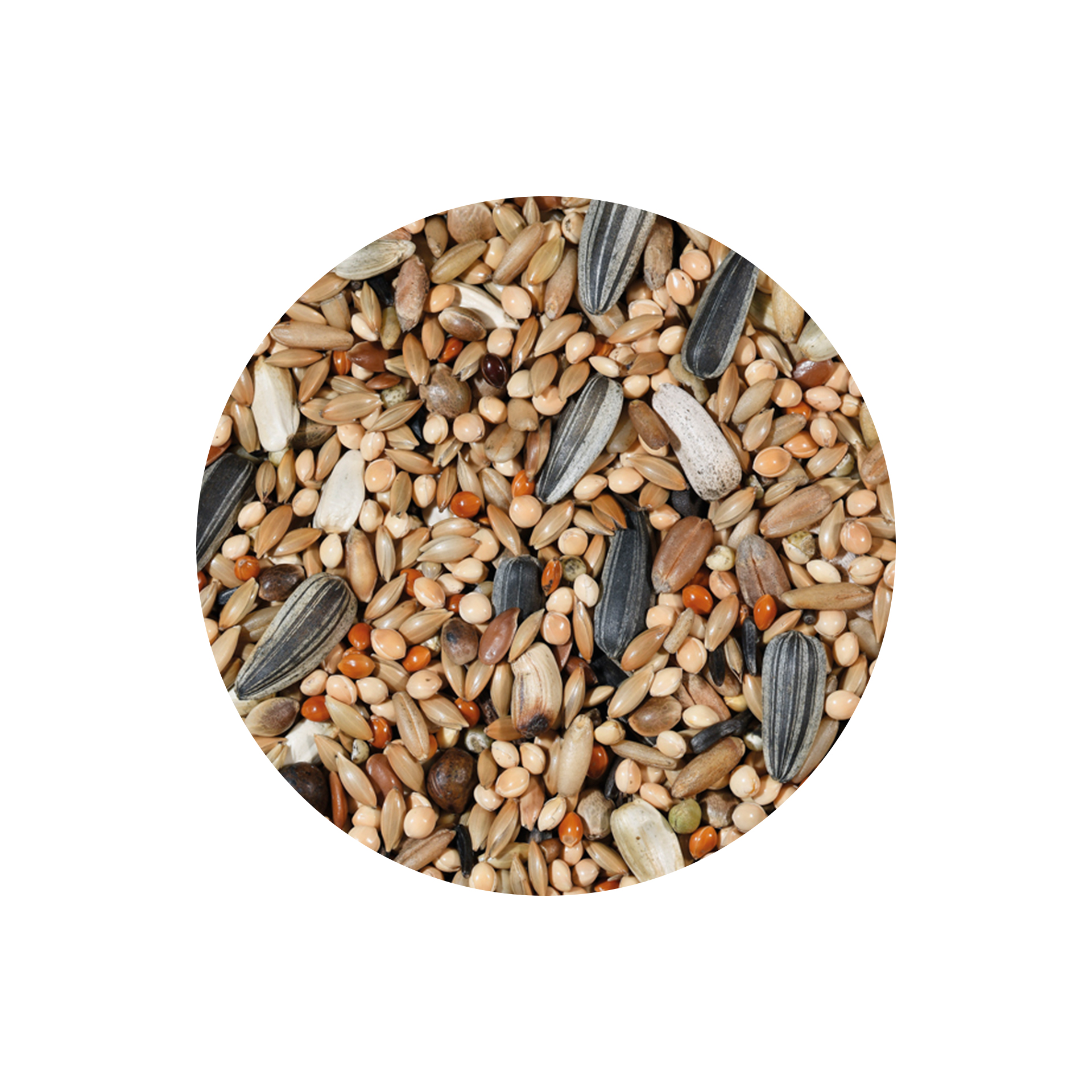 MISTURA P/ CATURRAS CLASSIC