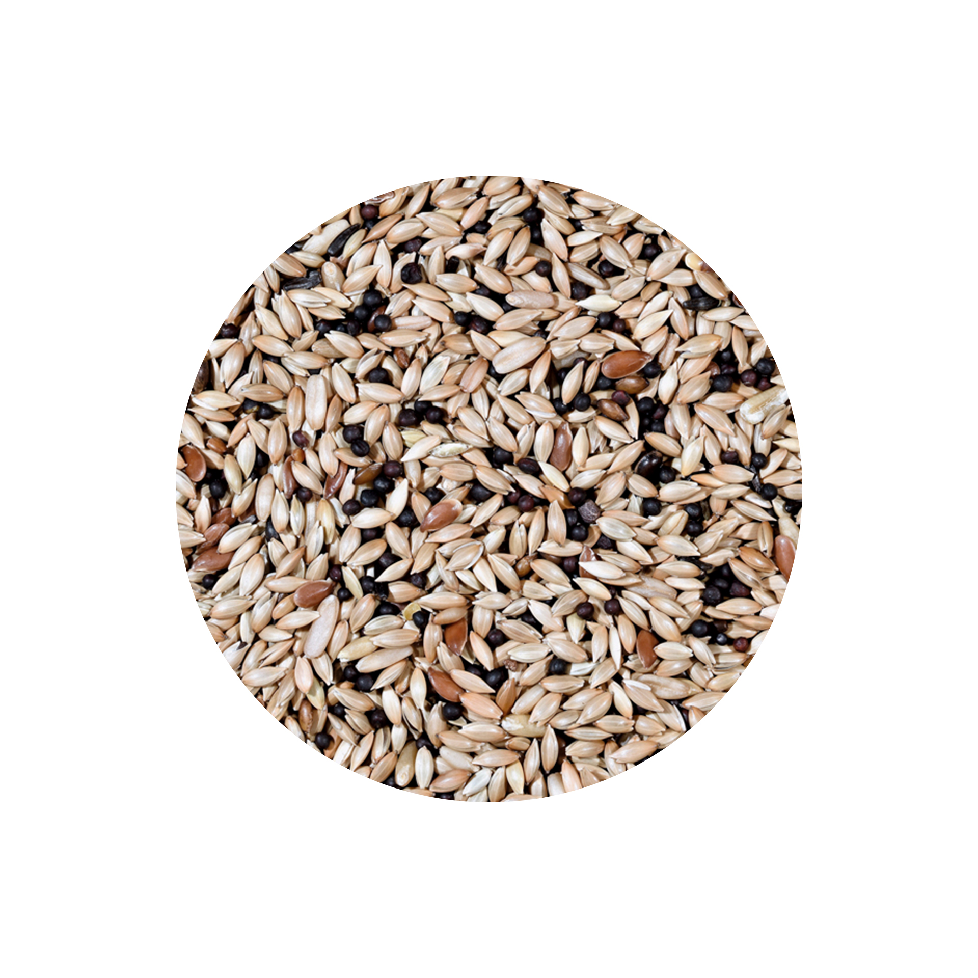 MISTURA P/ CANARIOS PROFISSIONAL - 20KG