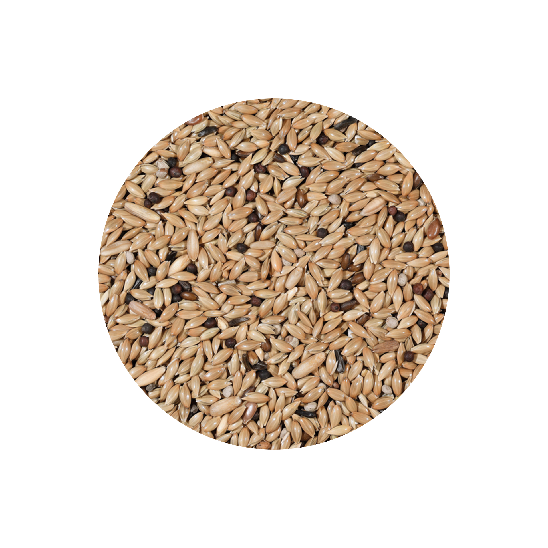 MISTURA P/ CANARIOS LIGHT - 20KG