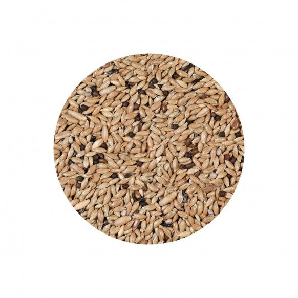 MISTURA P/ CANARIOS LIGHT - 20KG