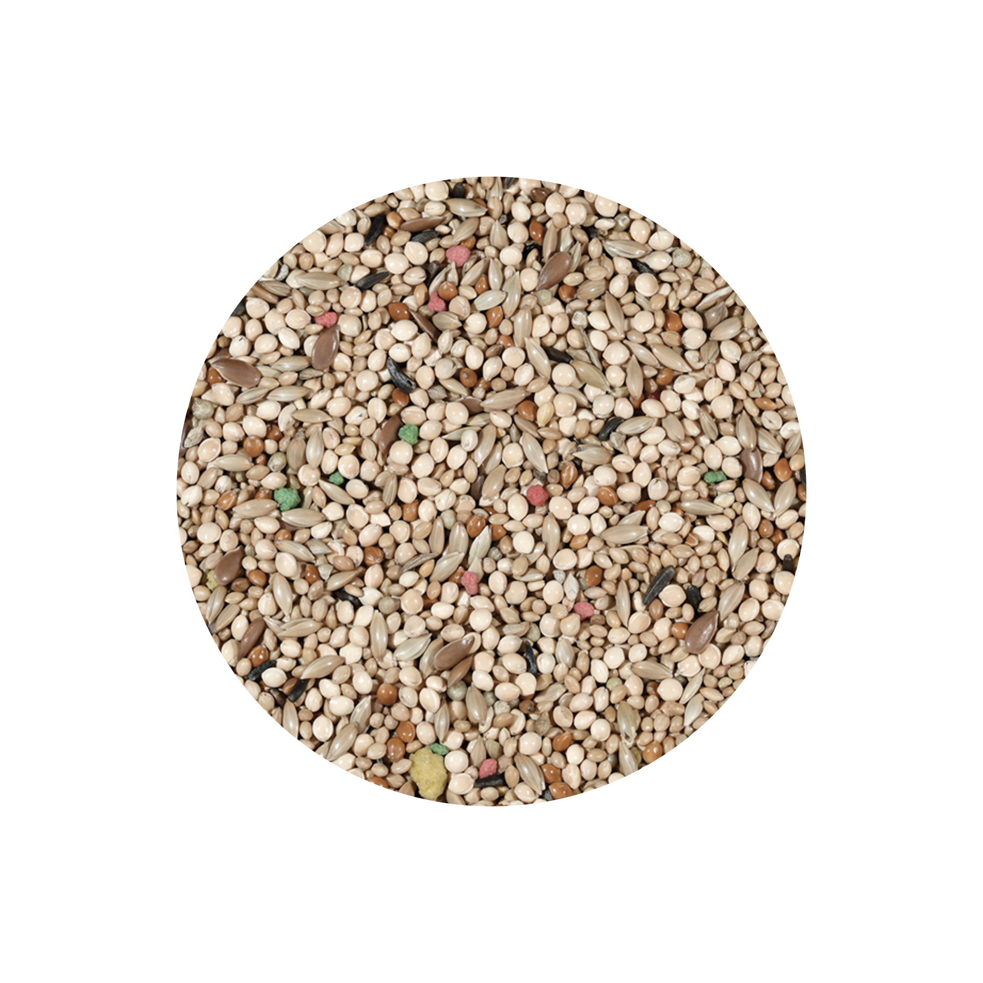 MISTURA EXOTICOS CLASSIC