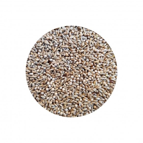 MISTURA DIAMANTE GOULD PROFISSIONAL - 20KG