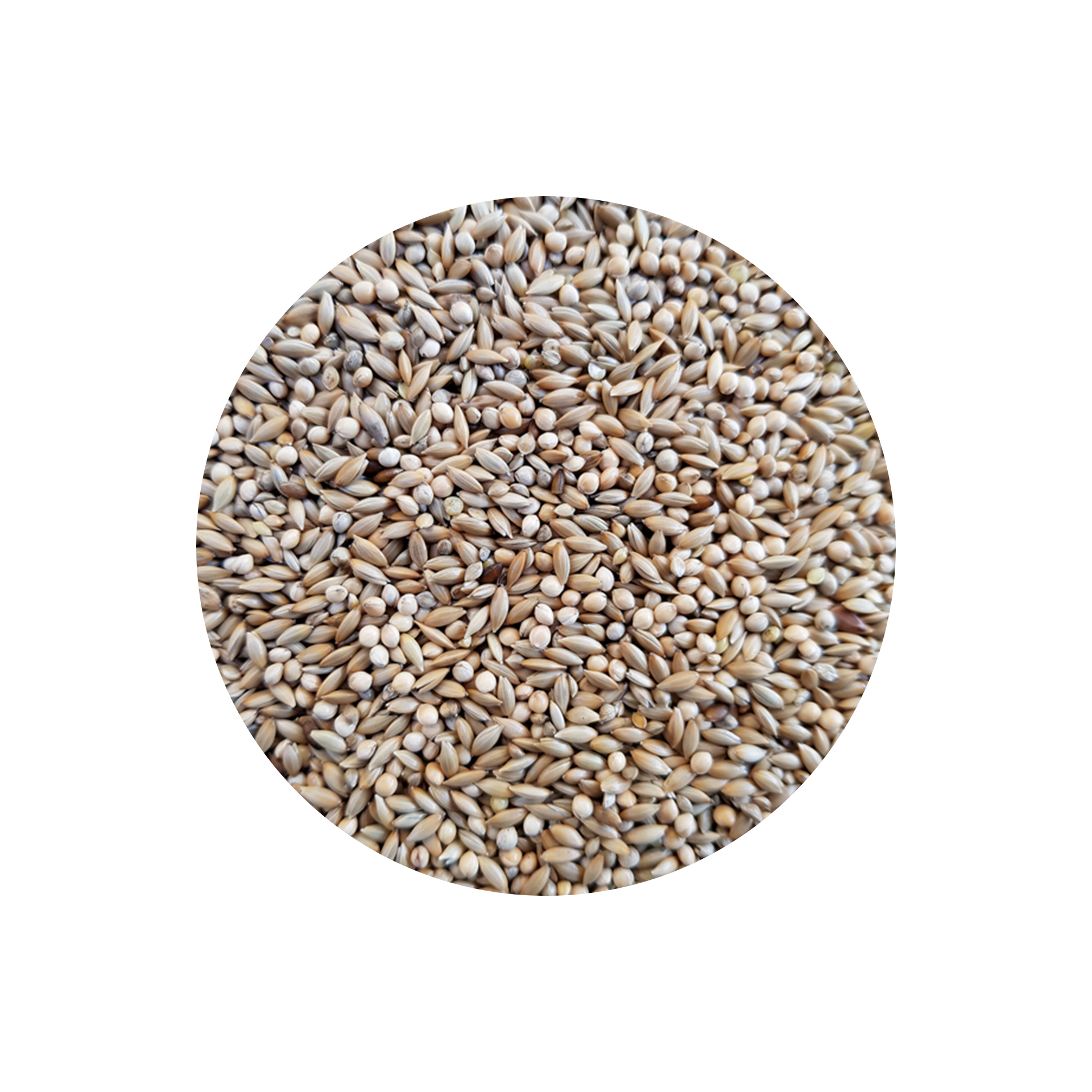 MISTURA DIAMANTE GOULD PROFISSIONAL - 20KG