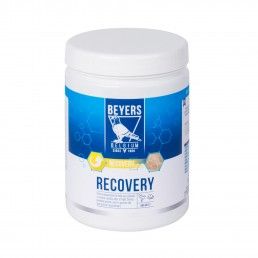 BEYERS RECOVERY - 600GR
