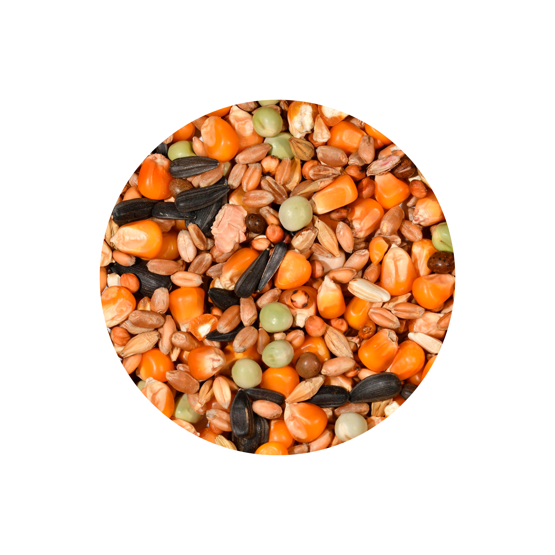 CEREAIS LOTE CORRENTE