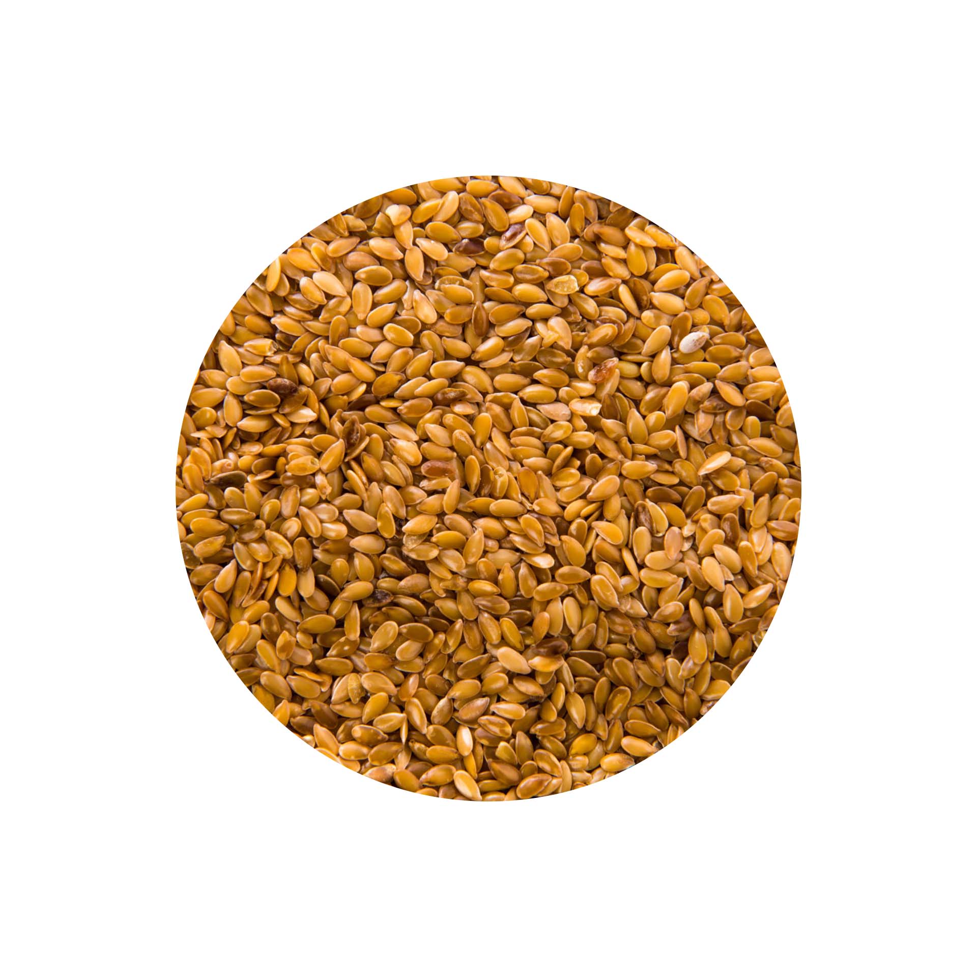 LINHAÇA DOURADA - 1KG