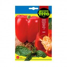 PIMENTO VERMELHO MAOR 3GR