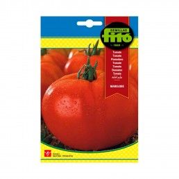 TOMATE MARGLOBE 3GR