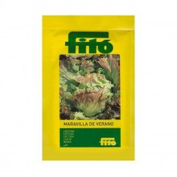 ALFACE MARAVILHA DE VERAO FITA - 15GR