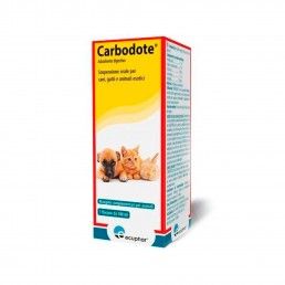CARBODOTE SOLUCAO 100ML