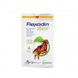 FLEXADIN ADVANCED