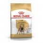 ROYAL CANIN FRENCH BULLCAO ADULT ROYAL CANIN FRENCH BULLCAO ADULT