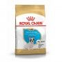 ROYAL CANIN FRENCH BULLCAO JUNIOR ROYAL CANIN FRENCH BULLCAO JUNIOR