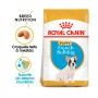 ROYAL CANIN FRENCH BULLCAO JUNIOR ROYAL CANIN FRENCH BULLCAO JUNIOR