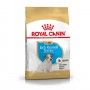 ROYAL CANIN JACK RUSSEL JUNIOR - 3KG ROYAL CANIN JACK RUSSEL JUNIOR - 3KG