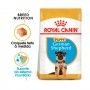 ROYAL CANIN GERMAN SHEPHERD JUNIOR - 12KG ROYAL CANIN GERMAN SHEPHERD JUNIOR - 12KG