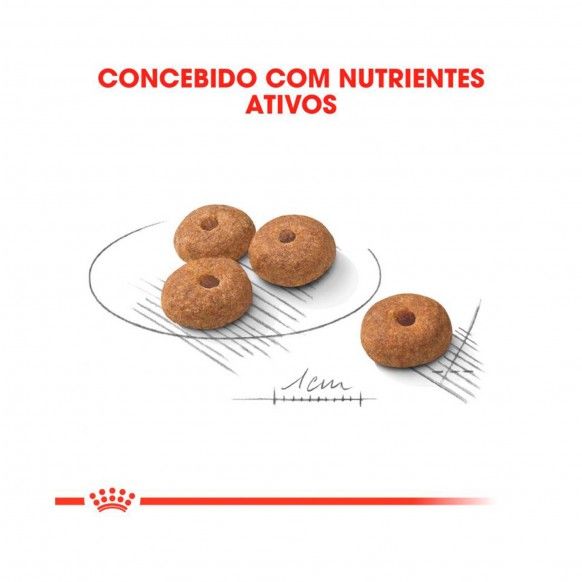 ROYAL CANIN MINI ADULT STERILISED