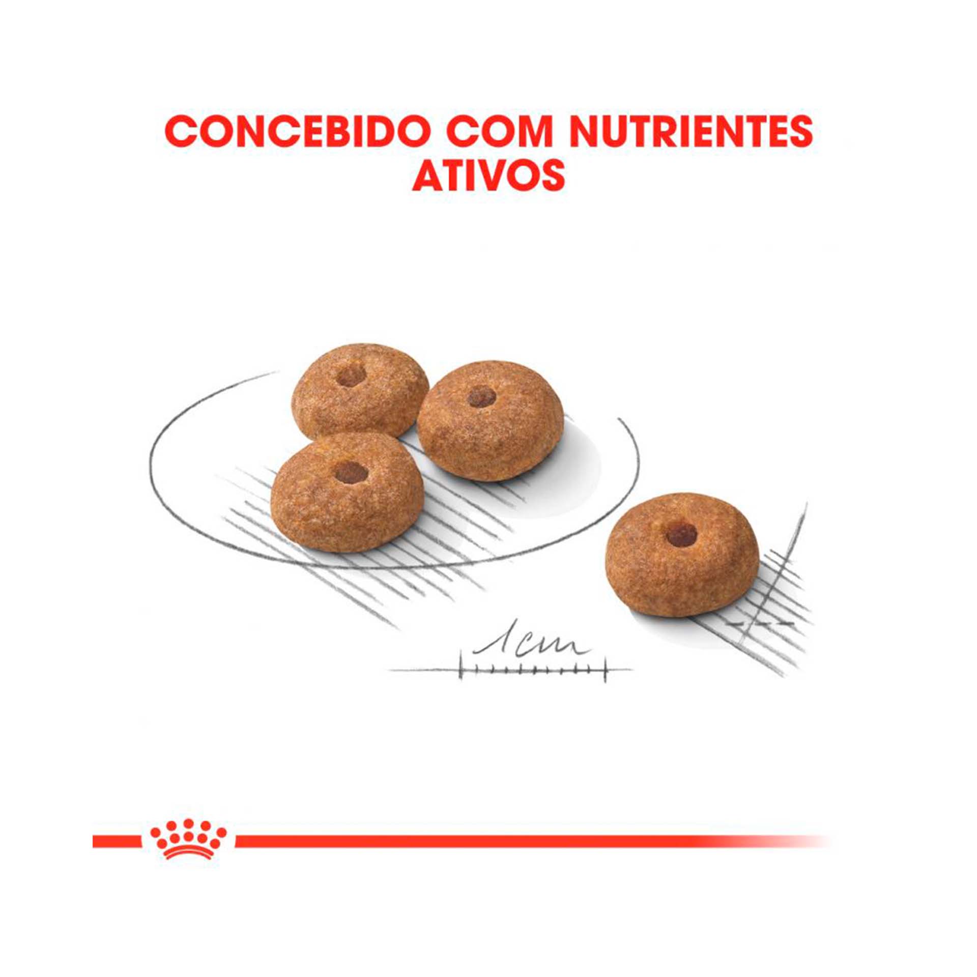 ROYAL CANIN MINI ADULT STERILISED