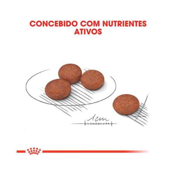 ROYAL CANIN MINI DIGESTIVE CARE