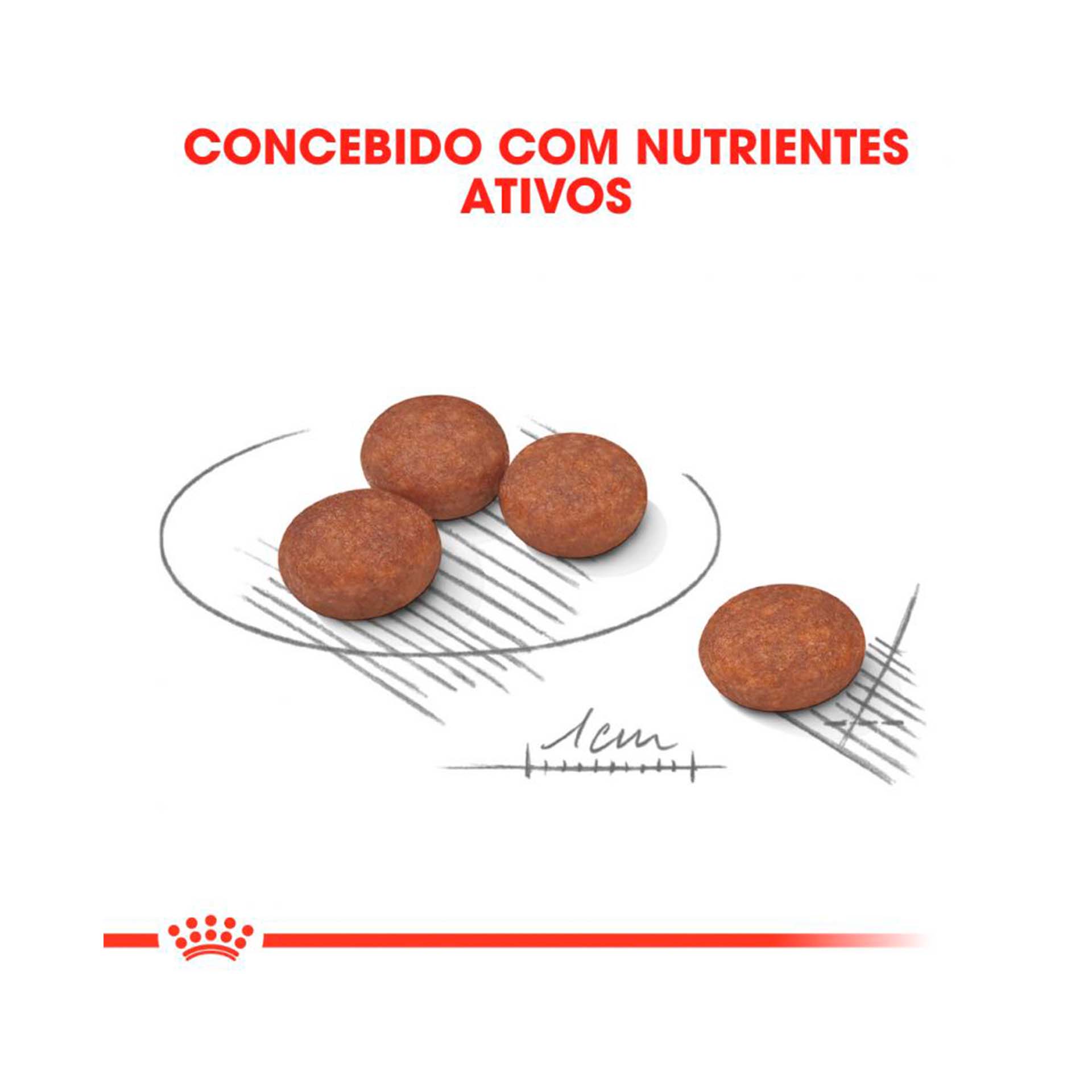 ROYAL CANIN MINI DIGESTIVE CARE
