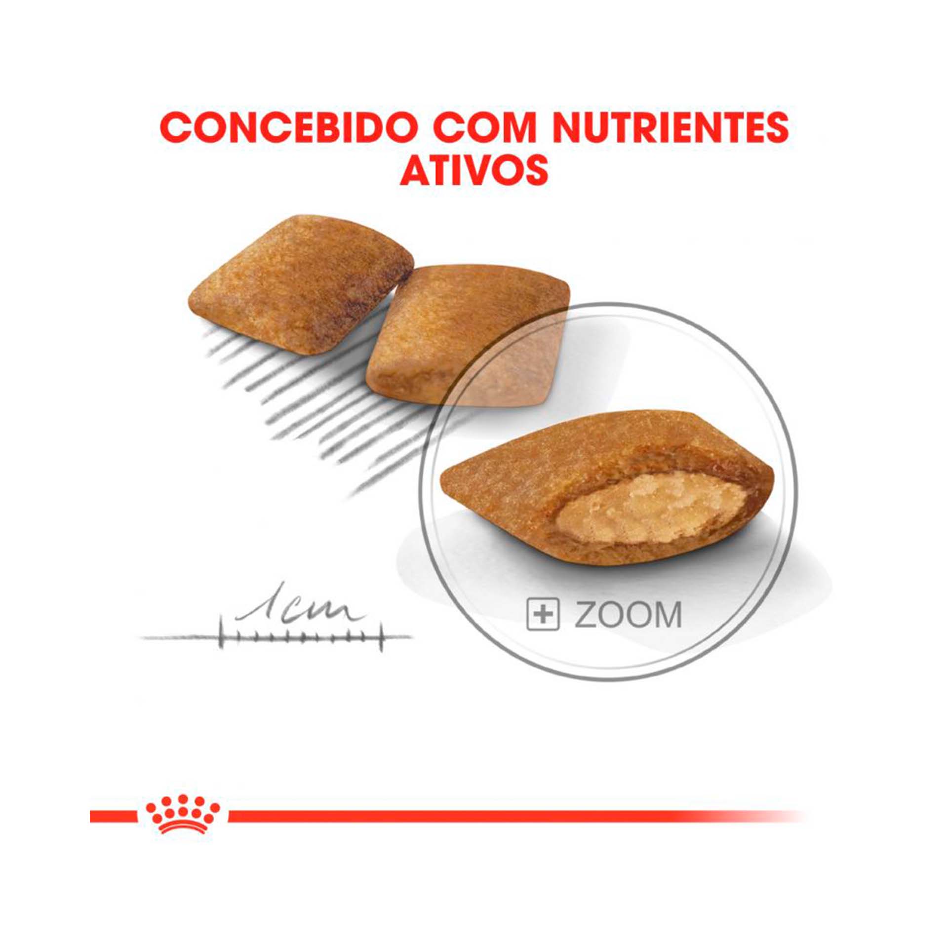 ROYAL CANIN MINI EXIGENT