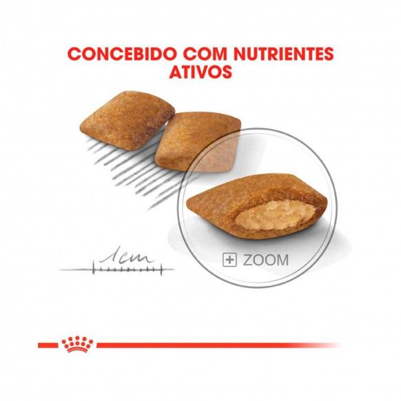 ROYAL CANIN MINI EXIGENT
