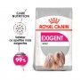 ROYAL CANIN MINI EXIGENT