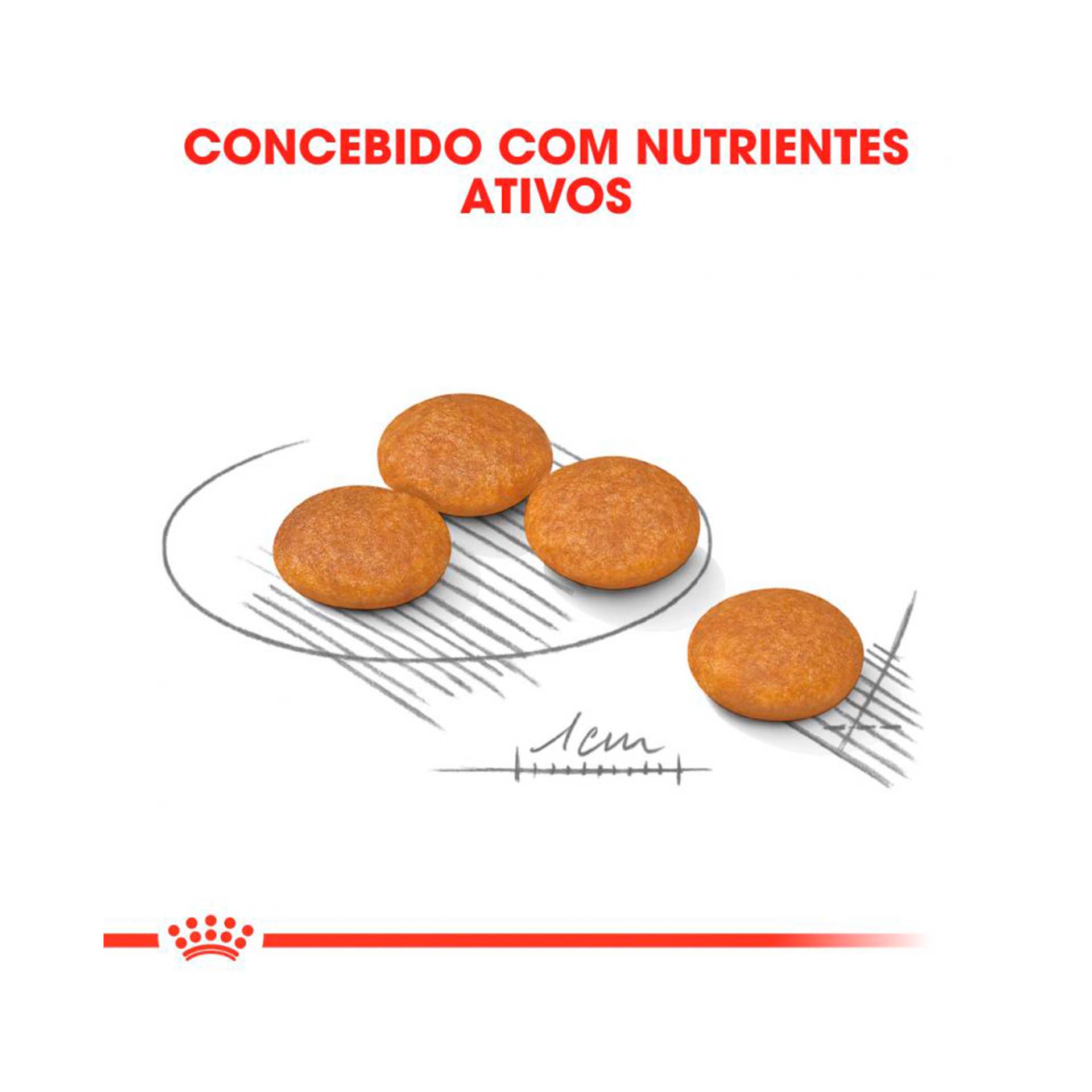 ROYAL CANIN MINI DERMACOMFORT - 3KG