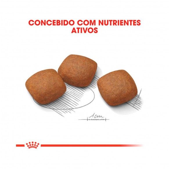 ROYAL CANIN MAXI JOINT CARE - 10KG