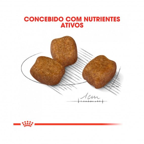 ROYAL CANIN MINI DENTAL CARE - 3KG
