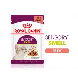 FHN SENSORY SMELL GRAVY - 85GR