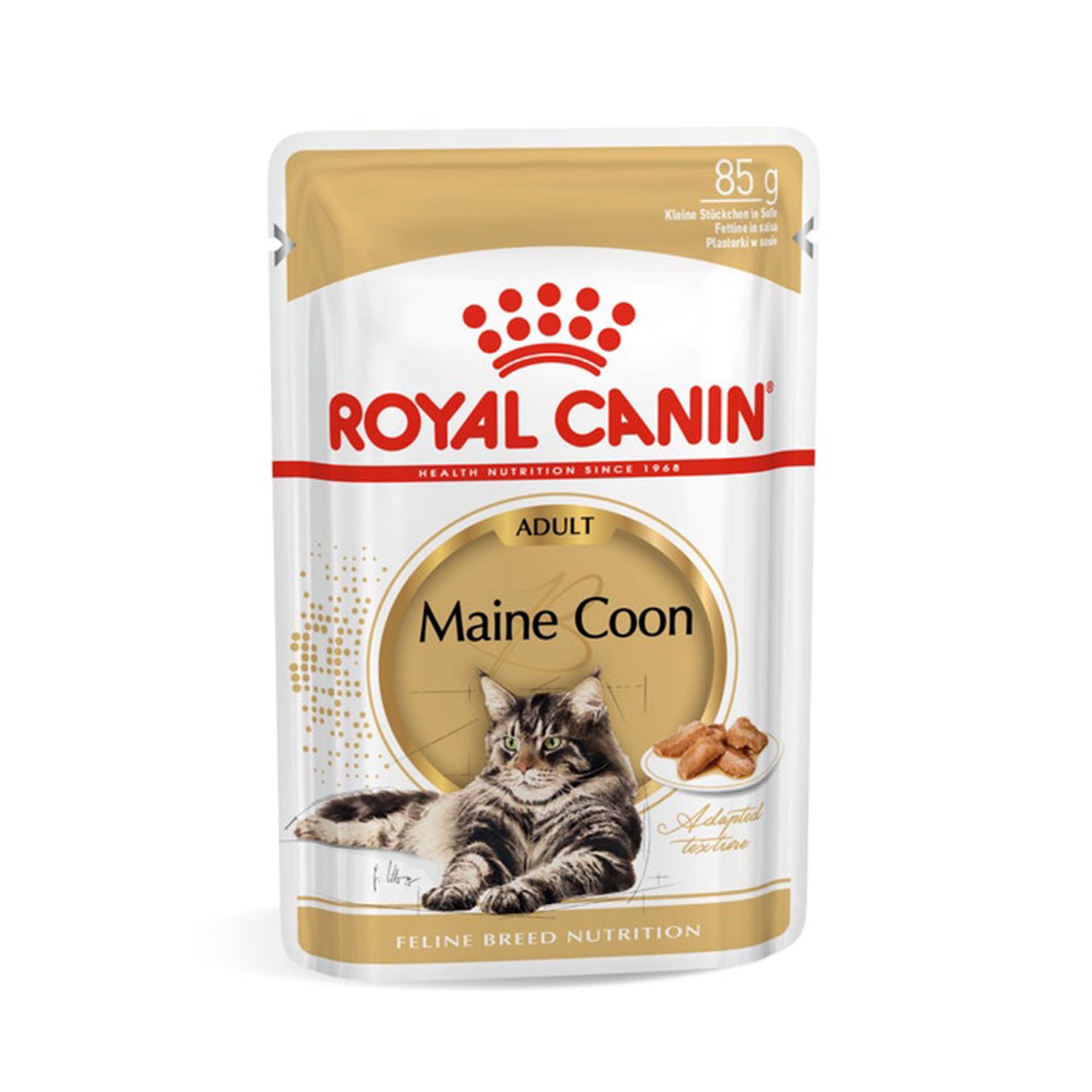 ROYAL CANIN MAINE COON - 85GR