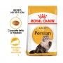 ROYAL CANIN PERSIAN ROYAL CANIN PERSIAN